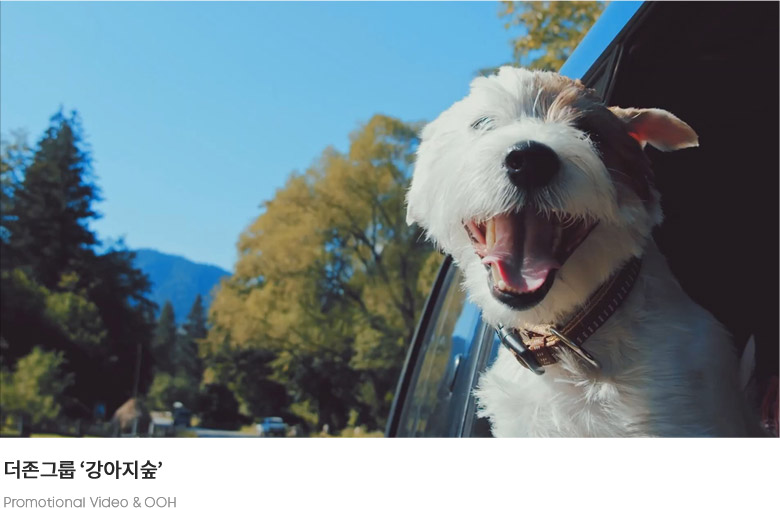 �����׷� ������������